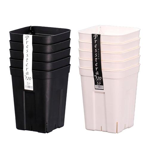 アガベ　プレステラ　深型　120型　5個組　ハオルチア 育苗 ポット 鉢