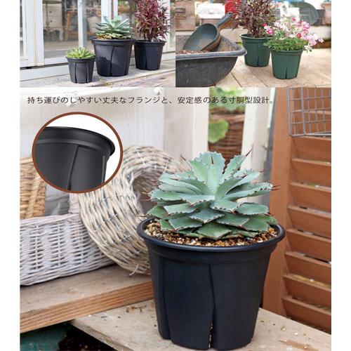 ポット　根っこつよし　4号　鉢 スリット 元気 通気性