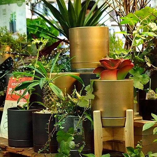 ポット　MC円柱メタルecoポット皿付「鉄はエコ」　S　プランター オシャレ シンプル 可愛い