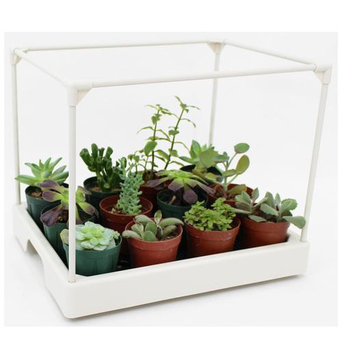 多肉マンション　カーメン君コラボ商品　排水性・通気性 日よけ・雨除け 持ち運び 省スペース