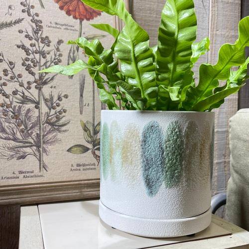 鉢　釉薬グラデーションポット(皿付き)4.5号　プランター 可愛い　カワイイ オシャレ 観葉植物