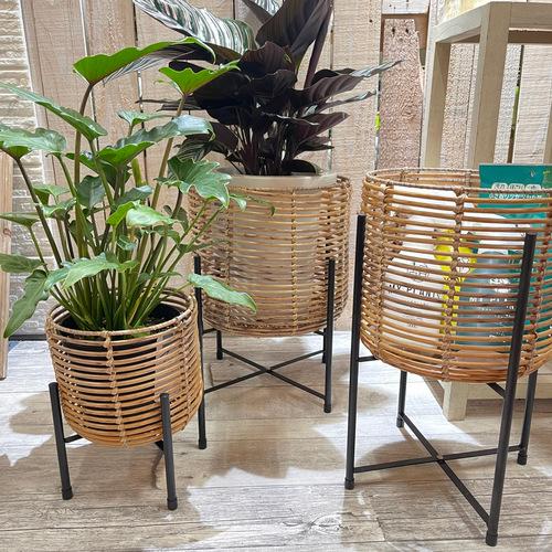 鉢カバー　ダイカイ 121503トーク ラウタフェイクPEPP脚付きバスケットラウンド Lサイズ　プ...