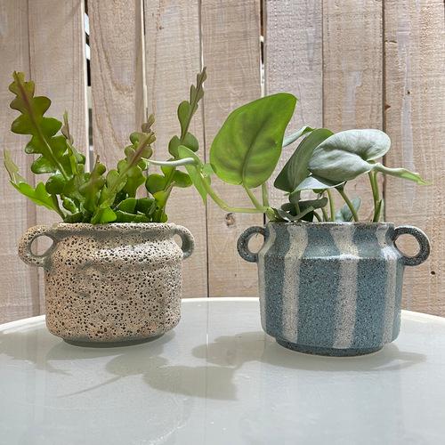 鉢　プランター　マンシュポット　友膳　ポット 観葉植物　花 可愛い オシャレ