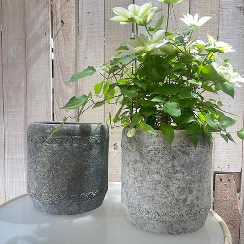 寄せ植え　ラダンテルポット　友膳　鉢　ポット プランター ブリキ アンティーク