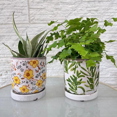 鉢　プランター　デルキ ベーネサークルストレート B HA07(サイズ内径Φ100ｍｍ)　可愛い　か...