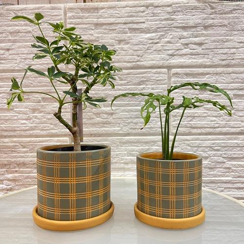 鉢　プランター　デルキ レッタポット KL86GR(Ｌサイズ内径Φ105ｍｍ))　可愛い　かわいい ...