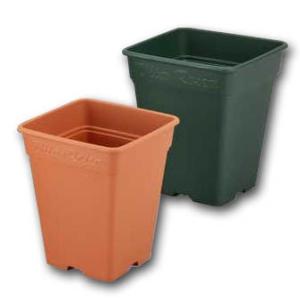 アップルウェアー ロゼアスクエア 330型 バラ コニファー スリット