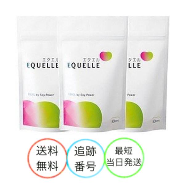 大塚製薬 エクエル パウチタイプ 120粒 3袋セット  エクオール サプリメント 乳酸菌 大豆