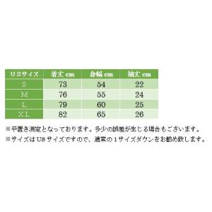 ハワイ直輸入 Hurley×Sig Zane ...の詳細画像3