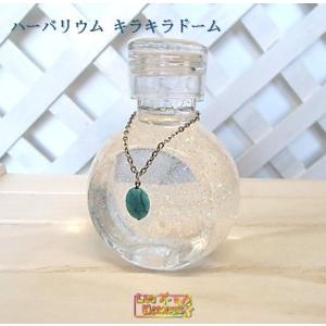 ハワイアン ハーバリウム ヒトデシェル海 キラキ...の商品画像