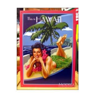 アメリカンブリキ看板 ここはハワイ ハワイアンインテリア ハワイ看板プレート レトロHAWAII フラガール看板｜leahawaii2