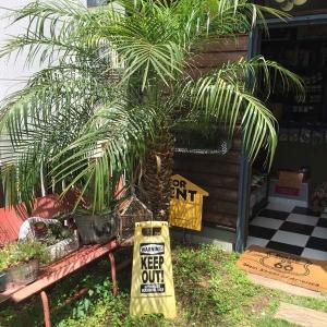 2025年度販売1000本突破! ビッグサイズ...の詳細画像5