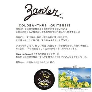 ZANTER ザンター コロバンサス クイテン...の詳細画像5