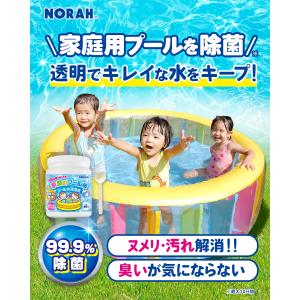 家庭 プール 除菌剤 99.9%除菌 水替え不...の詳細画像1