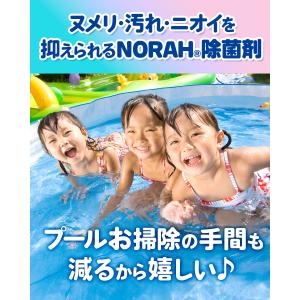 家庭 プール 除菌剤 99.9%除菌 水替え不...の詳細画像4