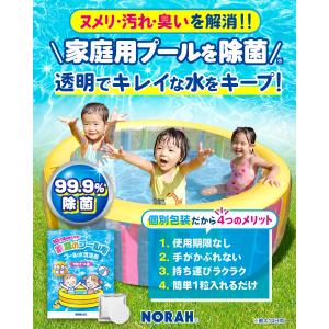 家庭 プール 除菌剤 99.9%除菌 水替え不...の詳細画像1