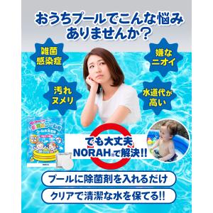 家庭 プール 除菌剤 99.9%除菌 水替え不...の詳細画像2