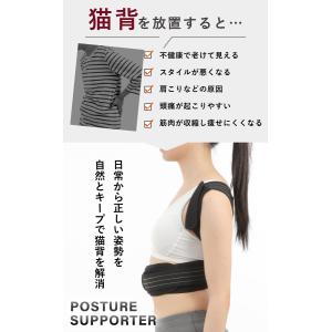 【整体師監修】 姿勢サポーター 姿勢ベルト 猫...の詳細画像2