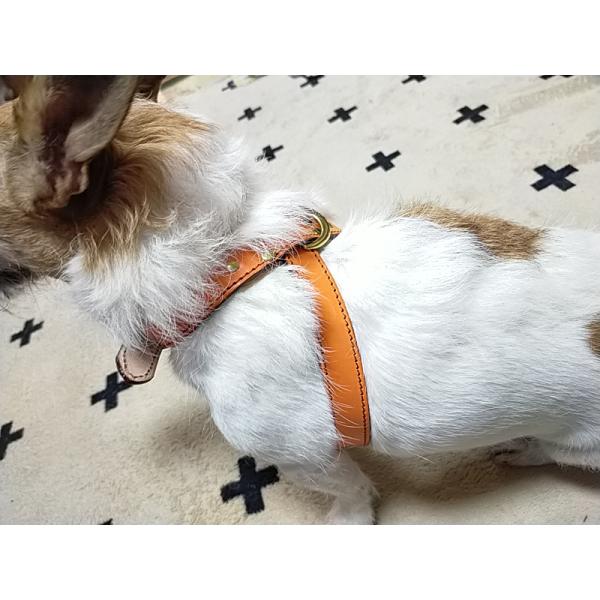 【オーダー】ドッグハーネス　オレンジ