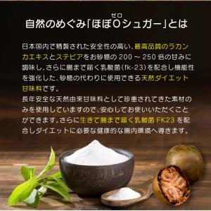 ラカンカ ステビア 羅漢果 羅漢果顆粒 【砂糖...の詳細画像2