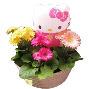 母の日 花 キティ入り プレゼント 花鉢 ガーベラ 3個入り ガーベラ 花言葉は感謝 母の日期間限定商品 Gabera3 Kittybarun 003 フラワーガーデンリーブス 通販 Yahoo ショッピング