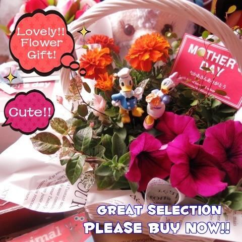 母の日 ドナルド デージー入り 花 フラワーギフト 鉢植え ミックスプランツ お花はデザイナーにおま...