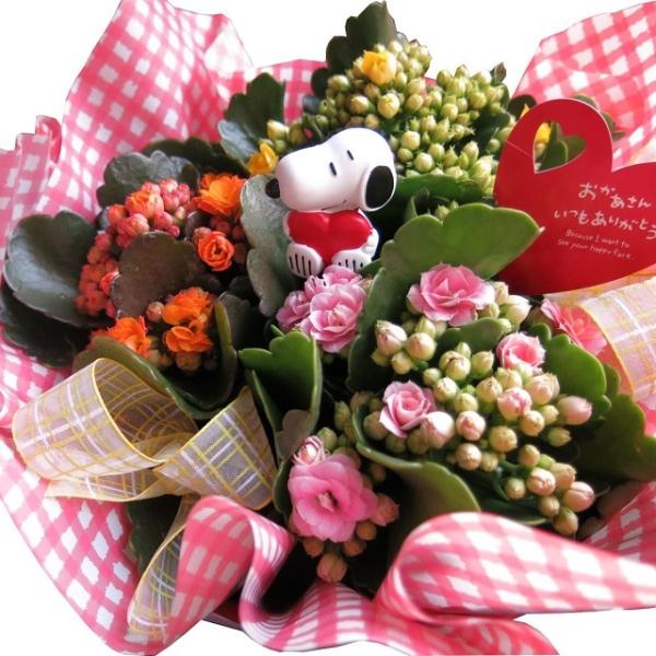 母の日 プレゼント 花鉢 カラフル3色 カランコエ スヌーピーハート入り 母の日期間限定商品