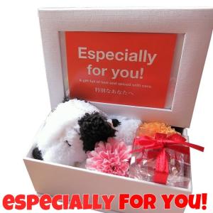 誕生日プレゼント スヌーピー 写真の商品一覧 通販 Yahoo ショッピング