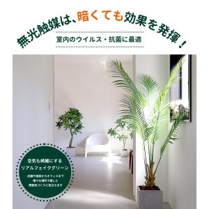 フェイクグリーン 大型 アレカヤシ 180cm...の詳細画像5