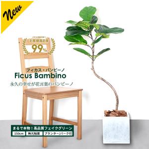 フィカス バンビーノ 150cm フェイクグリーン 大型 観葉植物 ファイバークレイ製 プランター & バークチップ付き 無光触媒 インテリア