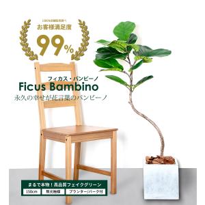 フィカス バンビーノ 150cm フェイクグリ...の詳細画像1
