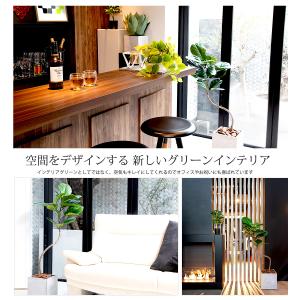 フィカス バンビーノ 150cm フェイクグリ...の詳細画像5