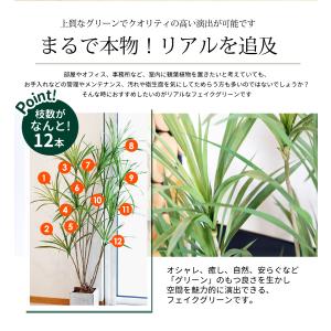 ドラセナ 150cm フェイクグリーン 大型 ...の詳細画像2