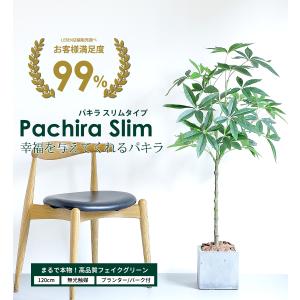 フェイクグリーン 大型 パキラ スリムタイプ ...の詳細画像1