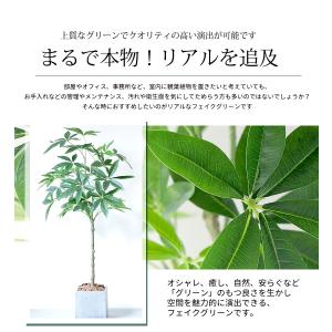 フェイクグリーン 大型 パキラ スリムタイプ ...の詳細画像2