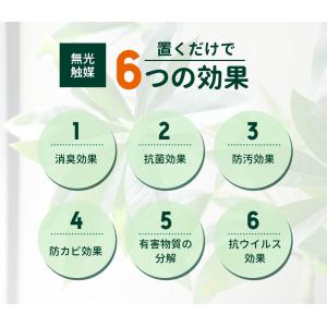 フェイクグリーン 大型 パキラ スリムタイプ ...の詳細画像4