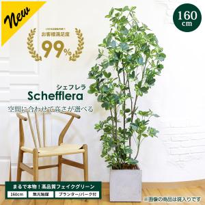 シェフレラ 160cm フェイクグリーン 無光触媒加工済 フェイク リアル 光触媒 CT触媒 ファイバークレイ製 プランター