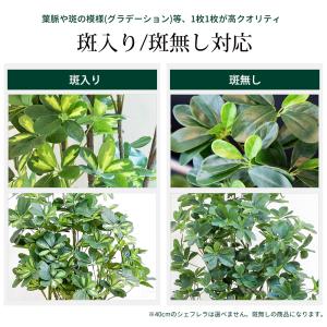 シェフレラ 160cm フェイクグリーン 無光...の詳細画像2