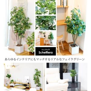 シェフレラ 160cm フェイクグリーン 無光...の詳細画像4