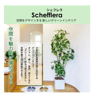 シェフレラ 160cm フェイクグリーン 無光...の詳細画像5