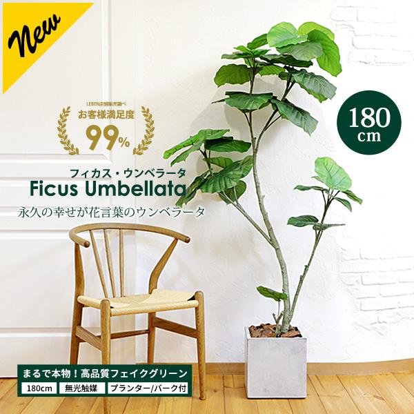 フェイクグリーン フィカス ウンベラータ 180cm   無光触媒加工済 フェイク リアル 光触媒 ...