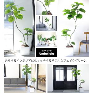 フェイクグリーン フィカス ウンベラータ 18...の詳細画像3