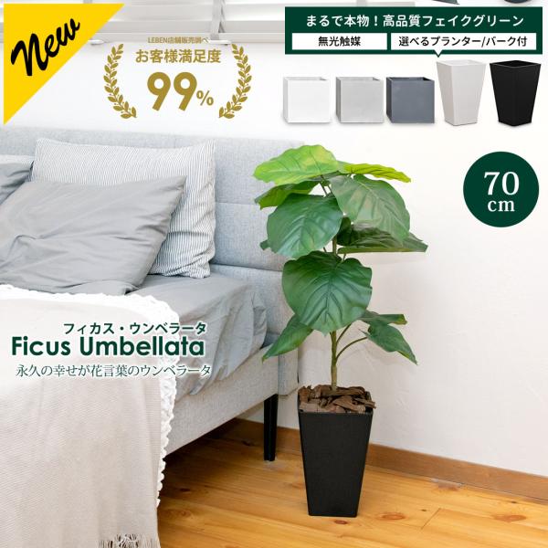 フェイクグリーン フィカス ウンベラータ 70cm   無光触媒加工済 フェイク リアル 光触媒 C...