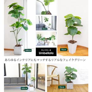 フェイクグリーン フィカス ウンベラータ 70...の詳細画像3