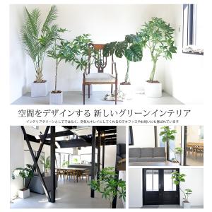 フェイクグリーン フィカス ウンベラータ 70...の詳細画像5