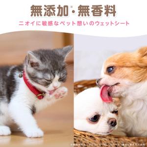 ペット用 ウェットシート 水99% 80枚×4...の詳細画像3