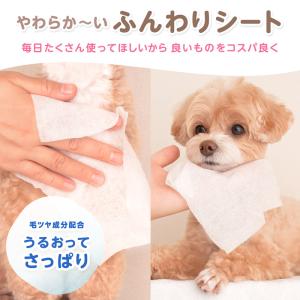 ペット用 ウェットシート 水99% 80枚×4...の詳細画像4