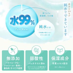ディズニー 手口拭き 手口ふき ウェットティッ...の詳細画像2