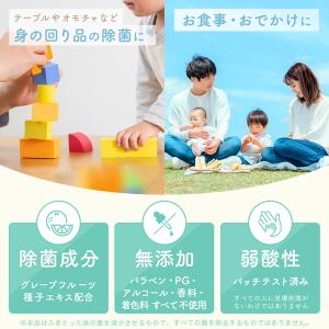 ディズニー ウェットティッシュ ウエットティッ...の詳細画像2