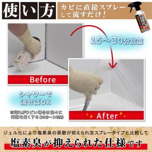茂木和哉 浴室用 2本セット カビとり 密着 ...の詳細画像3